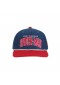 CASQUETTE MARVEL FRIENDLY NEIGHBORHOOD SPIDER-MAN  (NEUF)