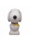 BANQUE FIGURATIVE SNOOPY ET WOODSTOCK  (NEUF)