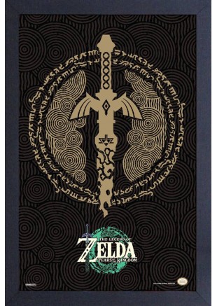 CADRE 11" X 18" THE LEGEND OF ZELDA TEARS OF THE KINGDOM DAMAGED MASTERWORD  (NEUF)