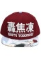 CASQUETTE MY HERO ACADEMIA SHOTO TODOROKI SNAPBACK  (NEUF)