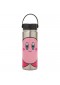 GOURDE KIRBY STAINLESS 17OZ  (NEUF)