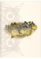 GUIDE FINAL FANTASY TYPE 0 HD  (USAGÉ)