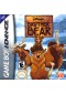 BROTHER BEAR  (USAGÉ)