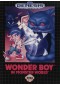 WONDER BOY IN MONSTER WORLD  (USAGÉ)