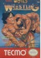 WORLD WRESTLING  (USAGÉ)