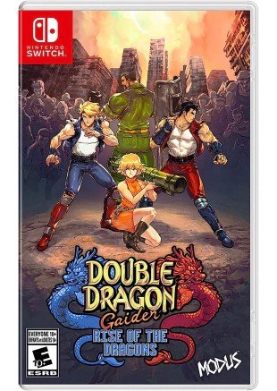DOUBLE DRAGON GAIDEN: RISE OF THE DRAGONS  (USAGÉ)