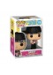 FIGURINE POP! ROCKS #316 DANNY  (NEUF)