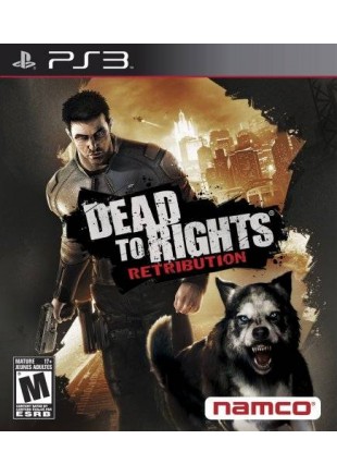 DEAD TO RIGHT RETRIBUTION  (USAGÉ)