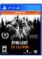 DYING LIGHT THE FOLLOWING  (USAGÉ)