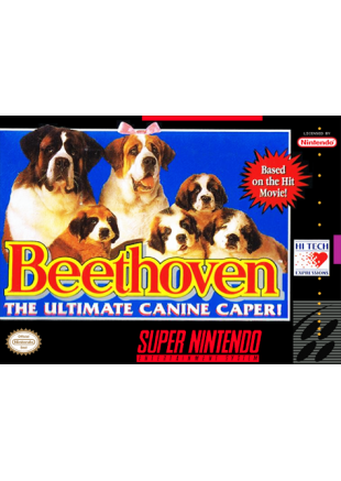 BEETHOVEN  (USAGÉ)