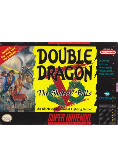 DOUBLE DRAGON V THE SHADOW FALLS (USAGÉ) DOUBLE DRAGON V THE SHADOW FALLS (USAGÉ)