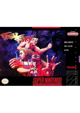 FATAL FURY  (USAGÉ)