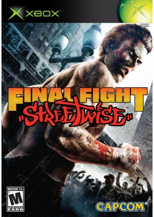 FINAL FIGHT STREETWISE  (USAGÉ)