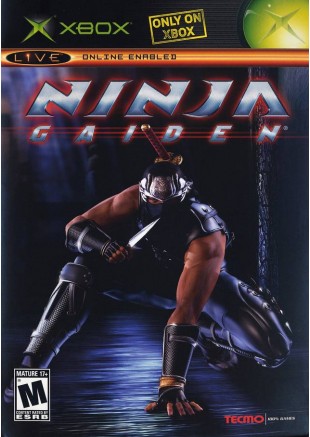 NINJA GAIDEN  (USAGÉ)