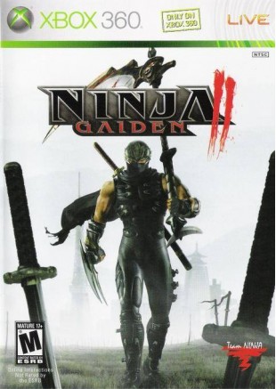 NINJA GAIDEN II  (USAGÉ)